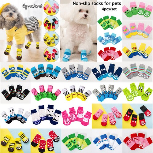 Stück hundesocken haustier - 4,