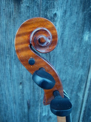Alte geige very old violin - geige,