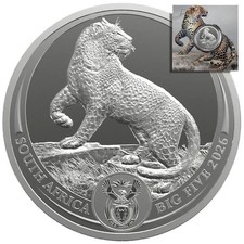 Silbermünze  1 oz Big Five