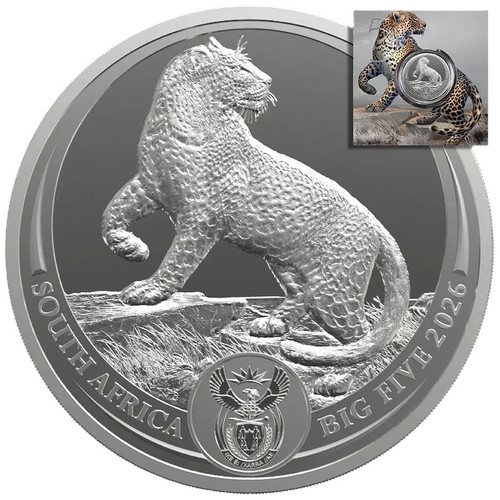 Silbermünze big five - 1,