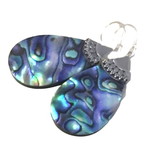 Abalone muschel ohrringe - abalone,