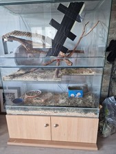 Großes Terrarium aus Glas/