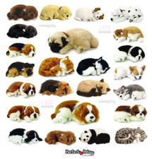 Perfect Petzzz - The Original