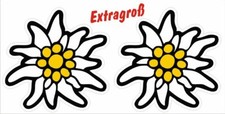 Große edelweiss alpen - 2x,