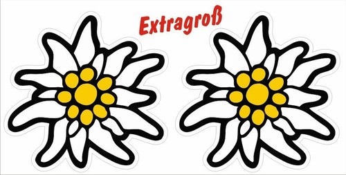 Große edelweiss alpen - 2x,