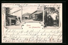 Blumenthal, P. Hansens