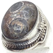 echte Fossilkoralle fossile