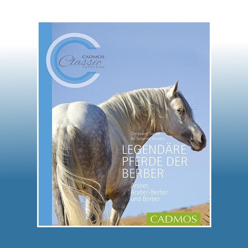 Legendäre pferde der berber - pferde, |