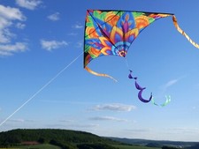 Drachen Einleiner Delta Rainbow Mandala 210cm
