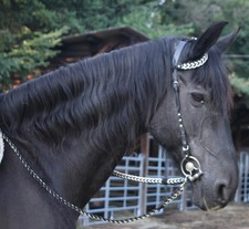 Unikat Leder EINOHRTRENSE mit