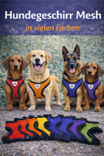 Hundegeschirr mit Leine Mash