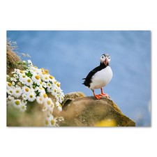 Postereck 3842 Poster Leinwand