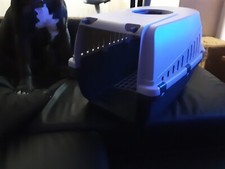  Haustiertrage Reisekorb