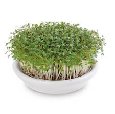 Eschenfelder Kressesieb aus