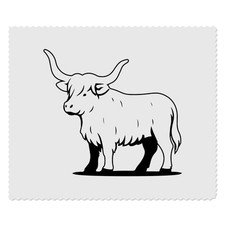 2 Linsenreinigungstücher