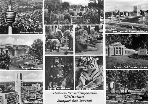 Wilhelma zoo stuttgart - zoo,