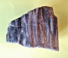 Verkieseltes Holz aus der