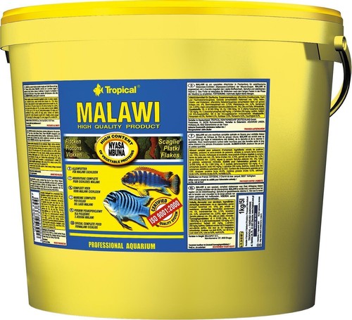Tropical malawi flocken - malawi, 11