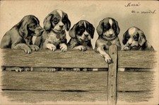 Präge Litho Fünf Hundewelpen an einem Holzzaun - 11076622