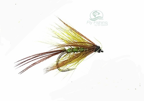 Olivfarbene dabbler - 3,