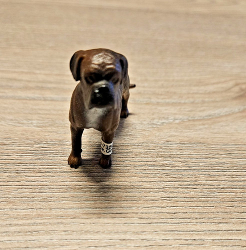 Schleich 16389 boxer rüde - 16389, –