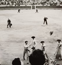 Stierkampfarena Stierkampf