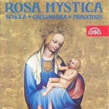 Rosa mystica marienandacht im - rosa, (marienandacht