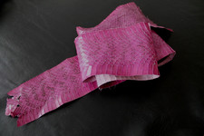 Schlangenhaut Cobra, echtes Schlangenleder, Schlange in Pink