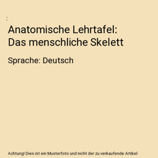 Anatomische Lehrtafel: Das menschliche Skelett: Sprache: Deutsch