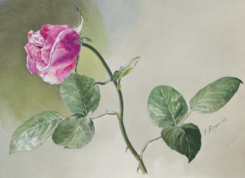 Fritz berger blumenstudie - berger,