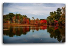 Lein-Wand-Bild Wald am See