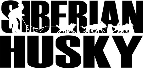 Siberian husky autoaufkleber - siberian,