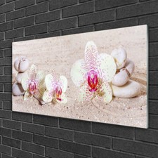 Wandbilder 100x50 Glasbild