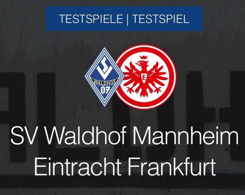 Tickets testspiel waldhof - 4x,