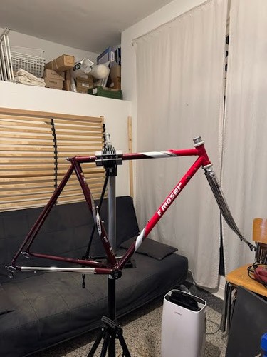 Moser classe vintage - f., "classe"