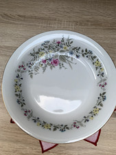 Teller, 6 Stück tiefe Suppenteller, v. Kahla, Könitz, Motiv Blumen/Ranken  #261