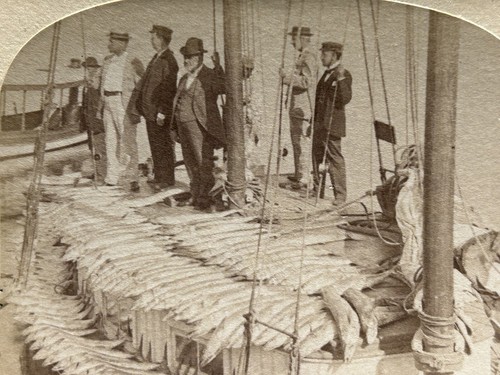 Norwegen fischer foto stereo - fischer,