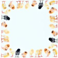 Tischdecke Ostern 110x110