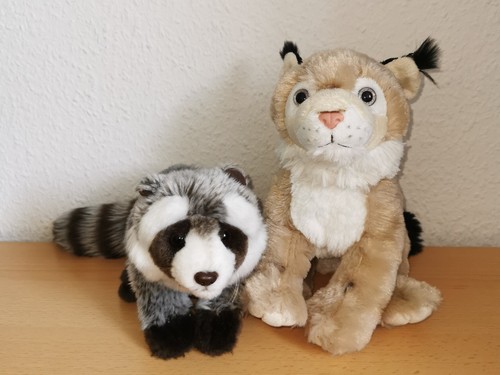 Plüschtier luchs oder - plüschtier,