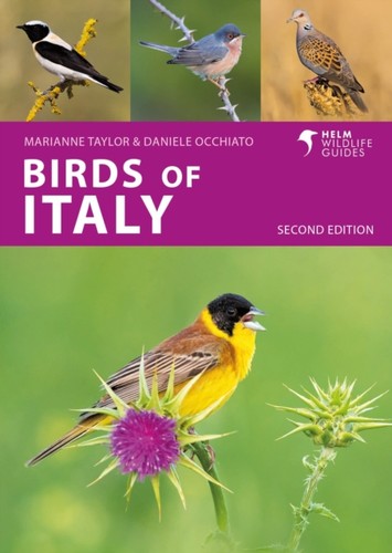 Birds italy daniele - of,