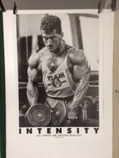2 verschiedene Body Builder Poster