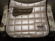 Eskadron Schabracke Dressur