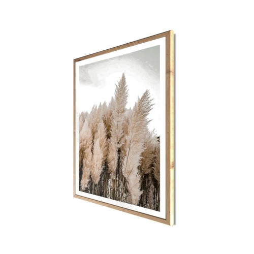 Wandbild gerahmt pampasgras - pampasgras, 50