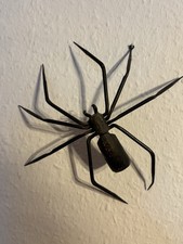 ❤️ Alte Deko Spinne