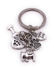 Mops Dogge Hund Haustiert Best