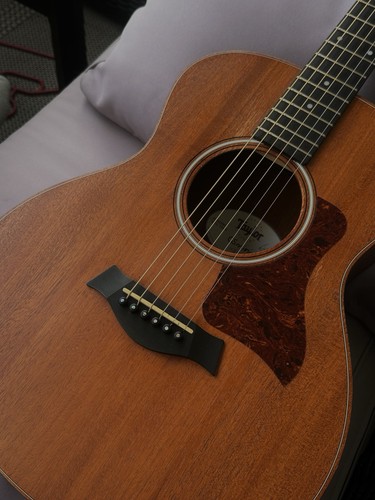 Taylor mini mahogany - gs,