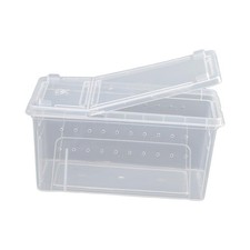 Reptilienzuchtbox