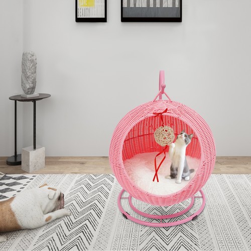 Katzen schaukel geschlossener - katzen,
