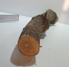 1 Stamm Drechselholz Buchsbaum Buxus Buchsbaumholz Edelholz 168g TOP !!! D=22mm