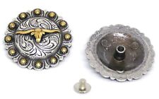 Concho Concha Berry Longhorn